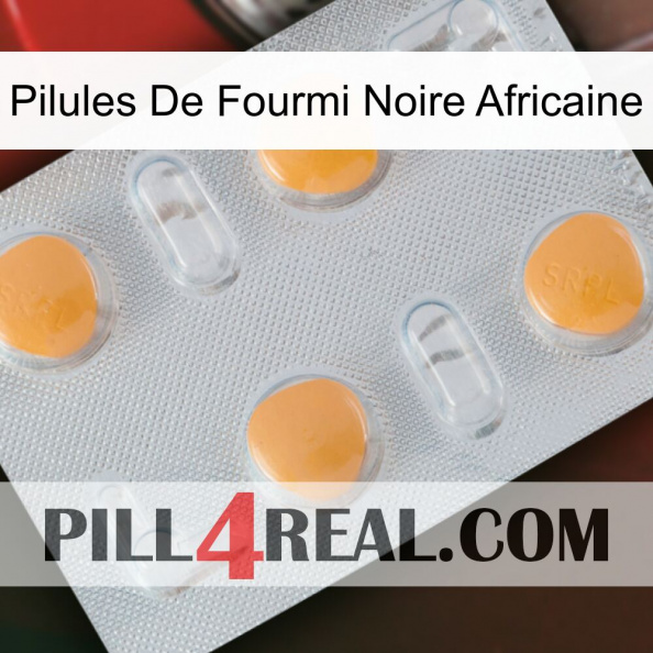 African Black Ant Pills 24